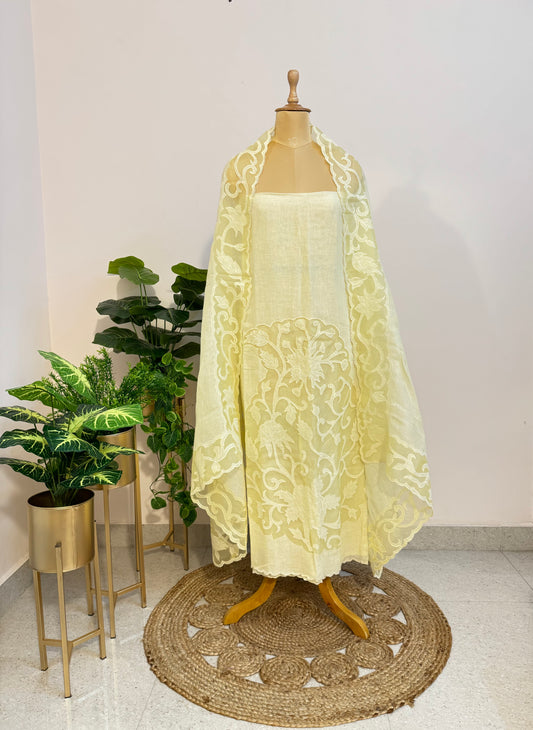 Pure Linen organza applique cut work suit